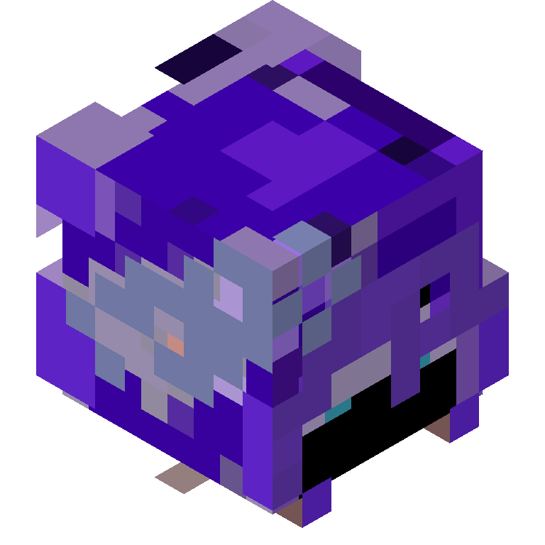 HEAD_ISO
