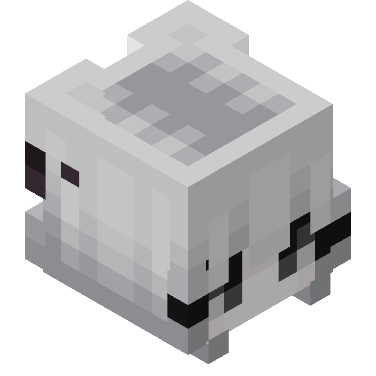 HEAD_ISO