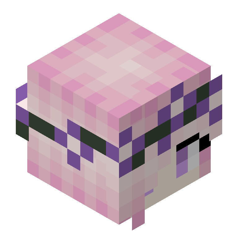HEAD_ISO