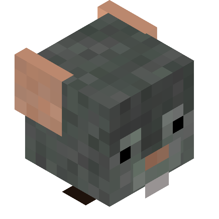 HEAD_ISO