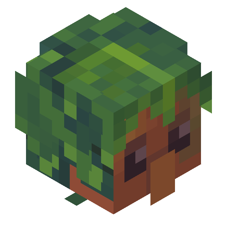 HEAD_ISO