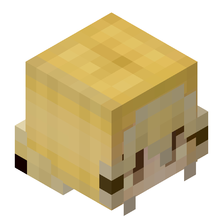 HEAD_ISO