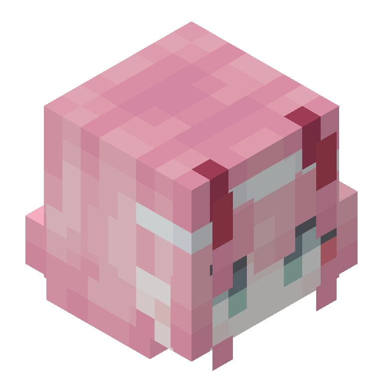 HEAD_ISO