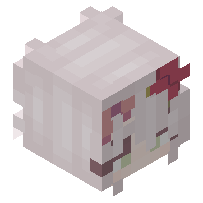 HEAD_ISO