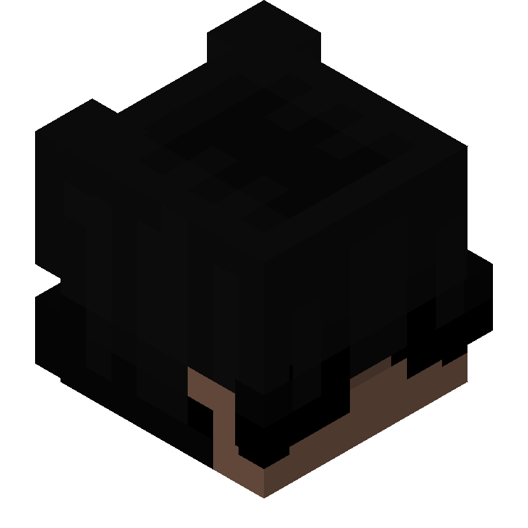 HEAD_ISO
