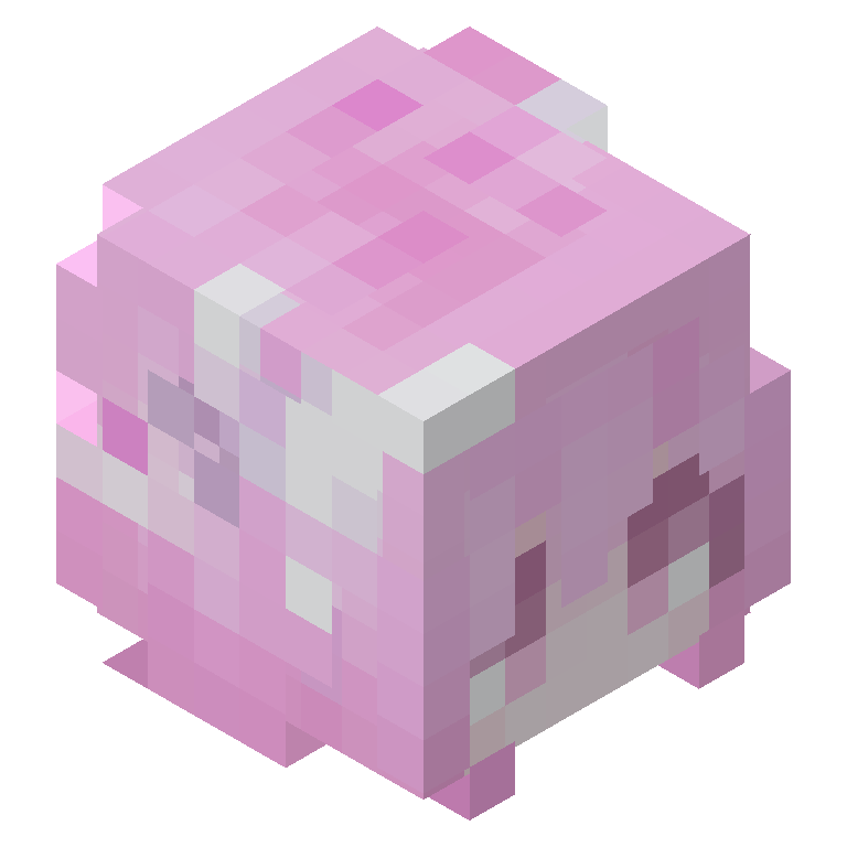 HEAD_ISO