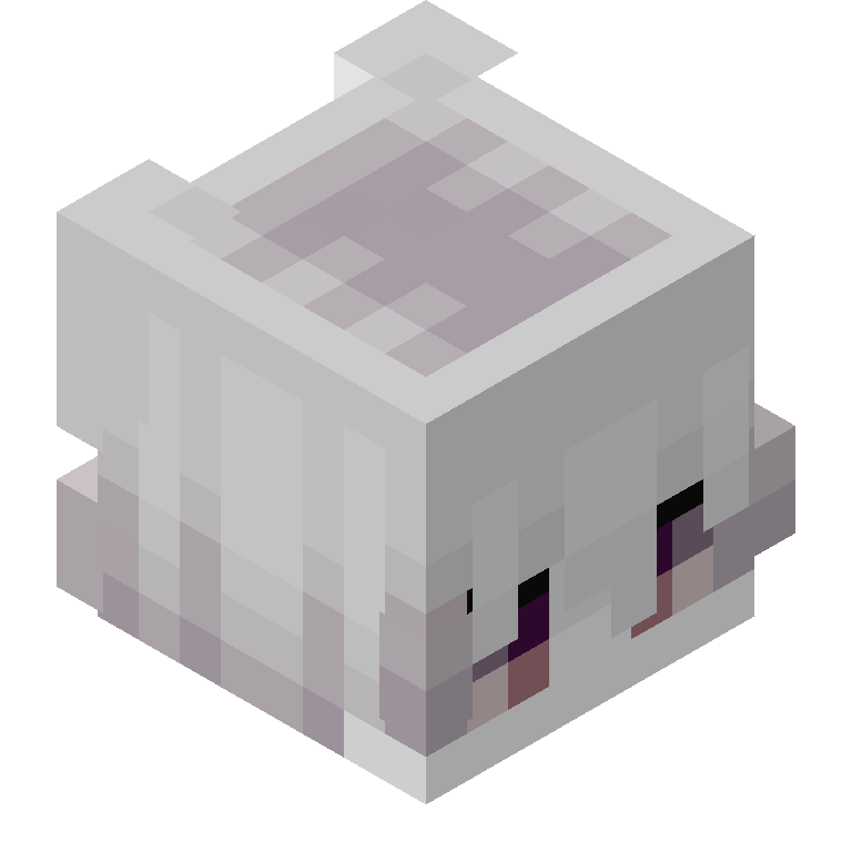 HEAD_ISO