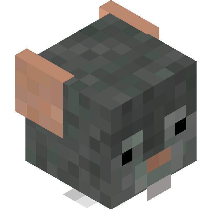 HEAD_ISO