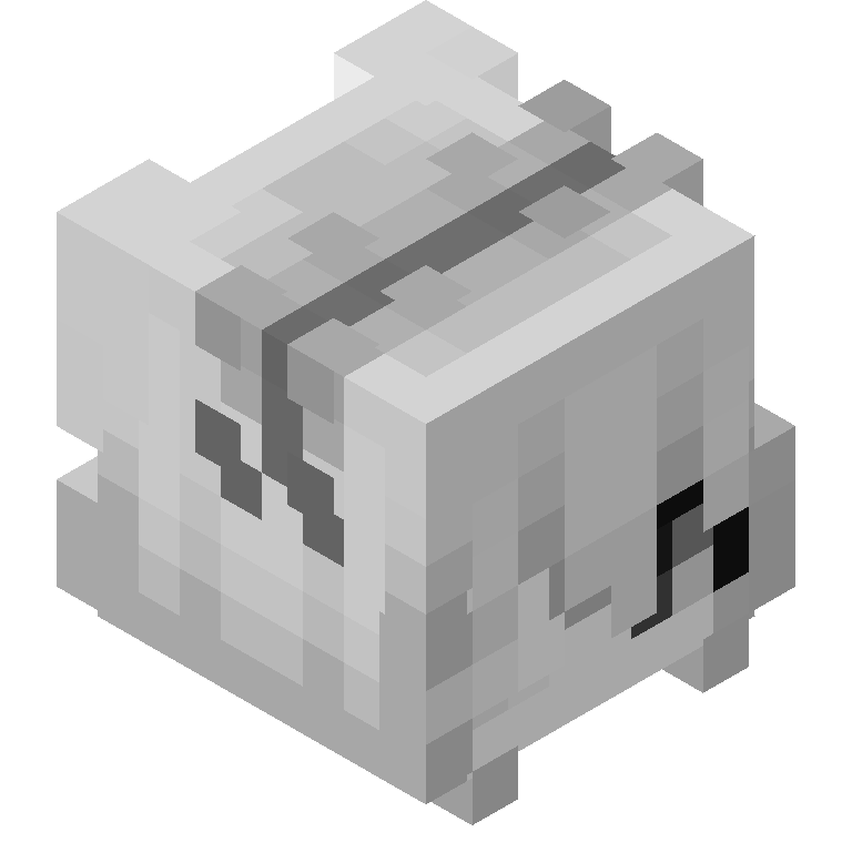 HEAD_ISO