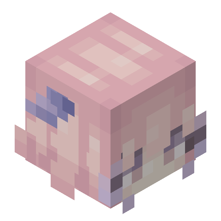 HEAD_ISO