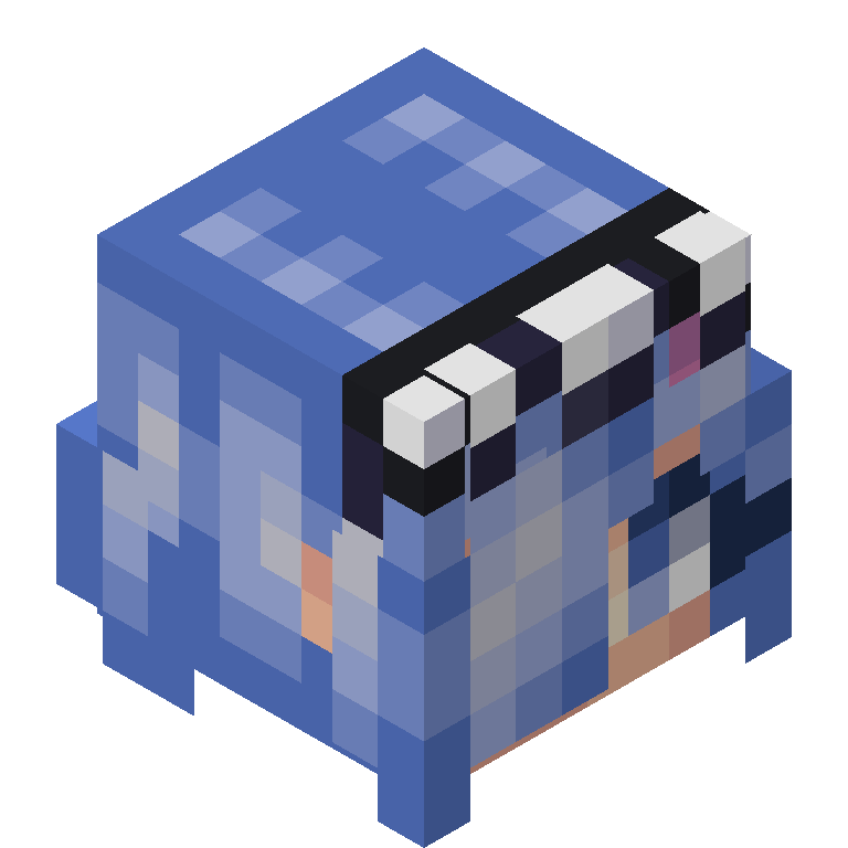 HEAD_ISO