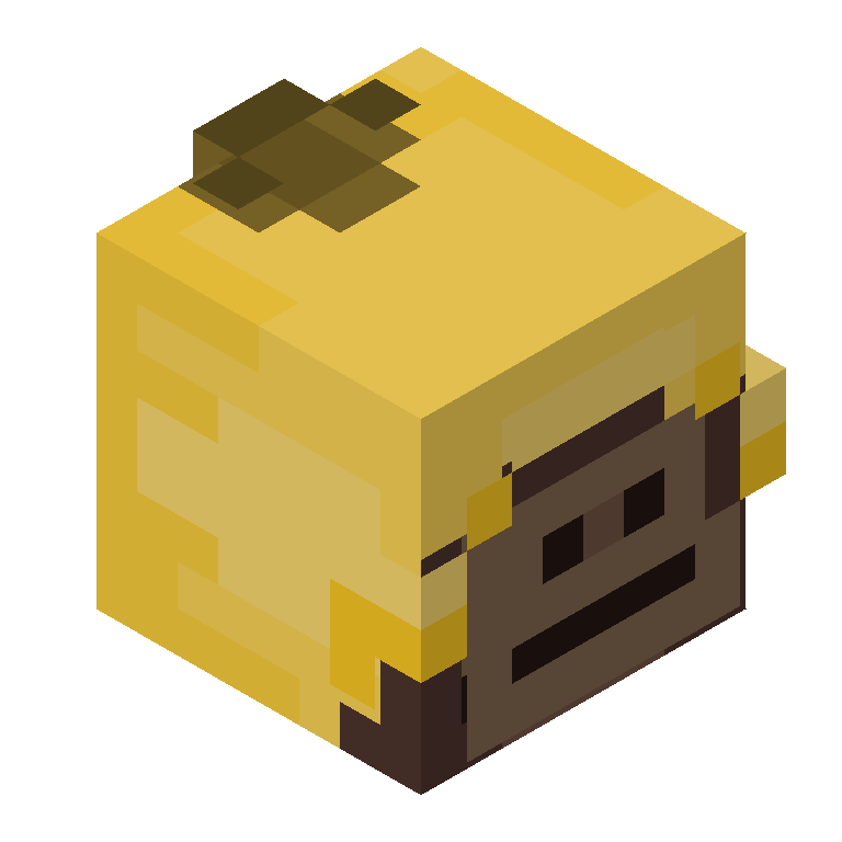 HEAD_ISO