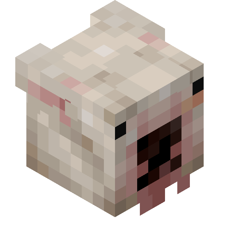 HEAD_ISO