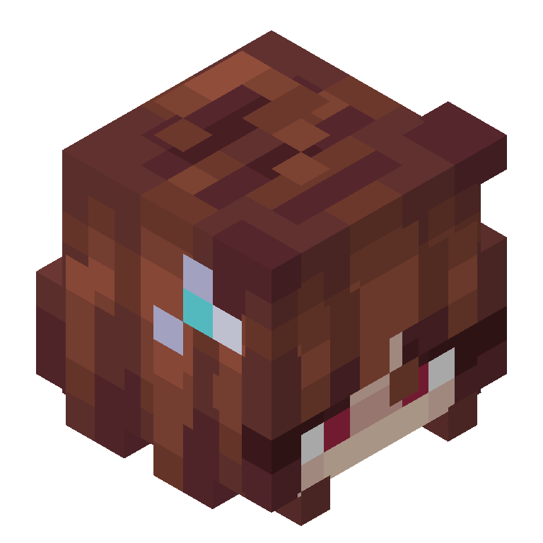 HEAD_ISO