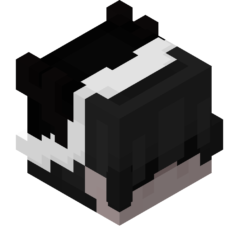 HEAD_ISO
