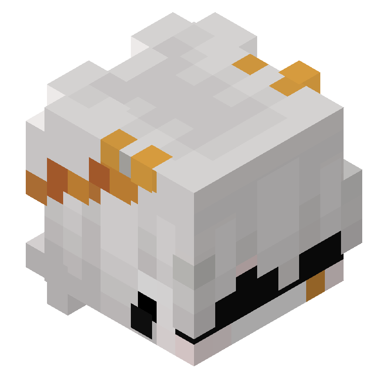 HEAD_ISO