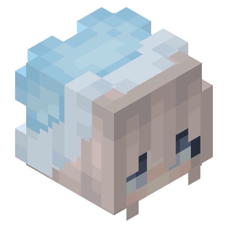 HEAD_ISO