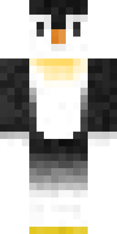 BODY