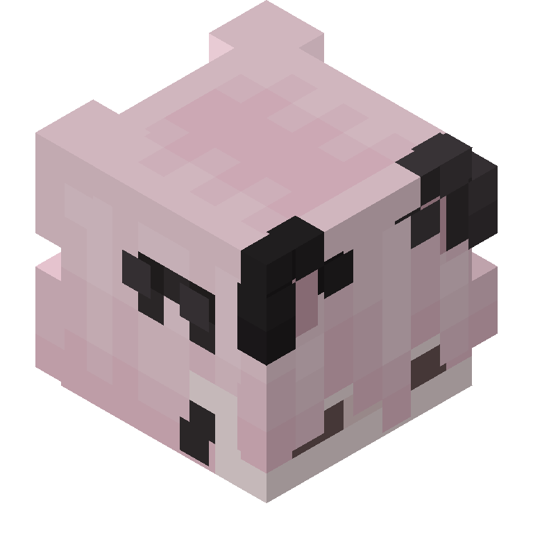HEAD_ISO