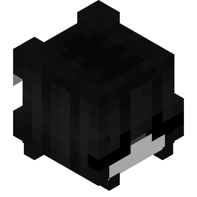 HEAD_ISO