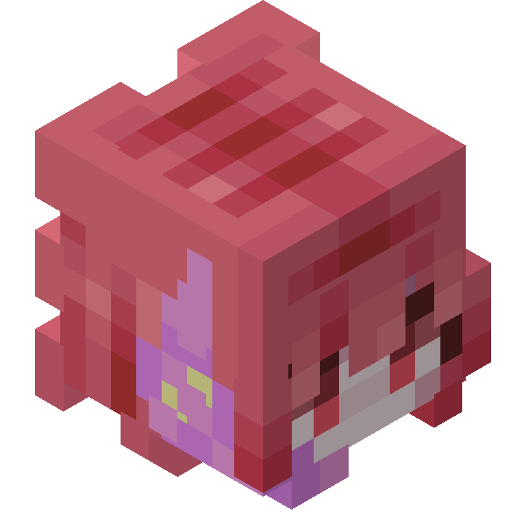 HEAD_ISO
