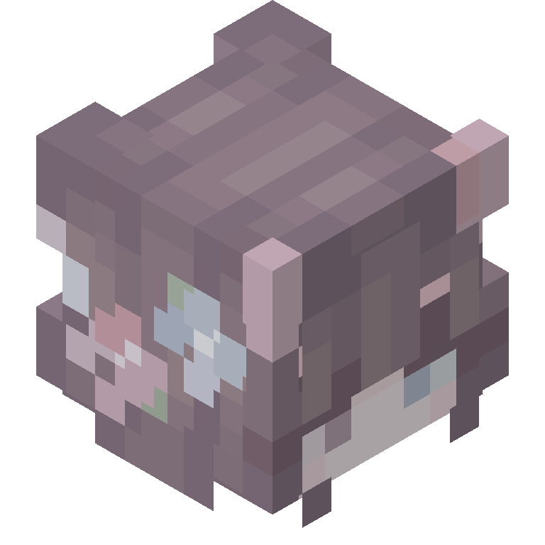 HEAD_ISO